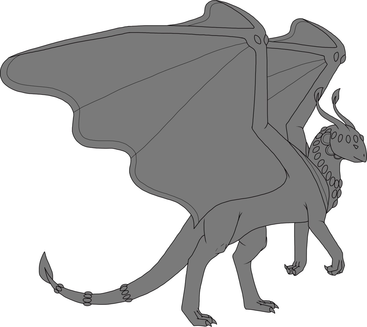 Softglow, a light dragon species